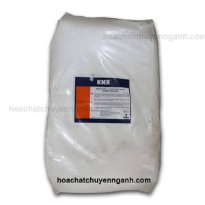 Polymer Anion A1110- Anh