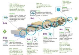 Quy trình sản xuất giấy