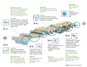 Quy trình sản xuất giấy